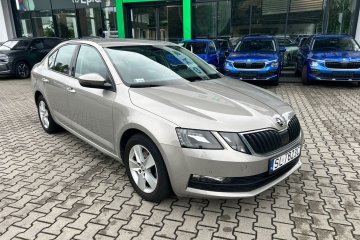 1 wł. Salon pl, Ambition